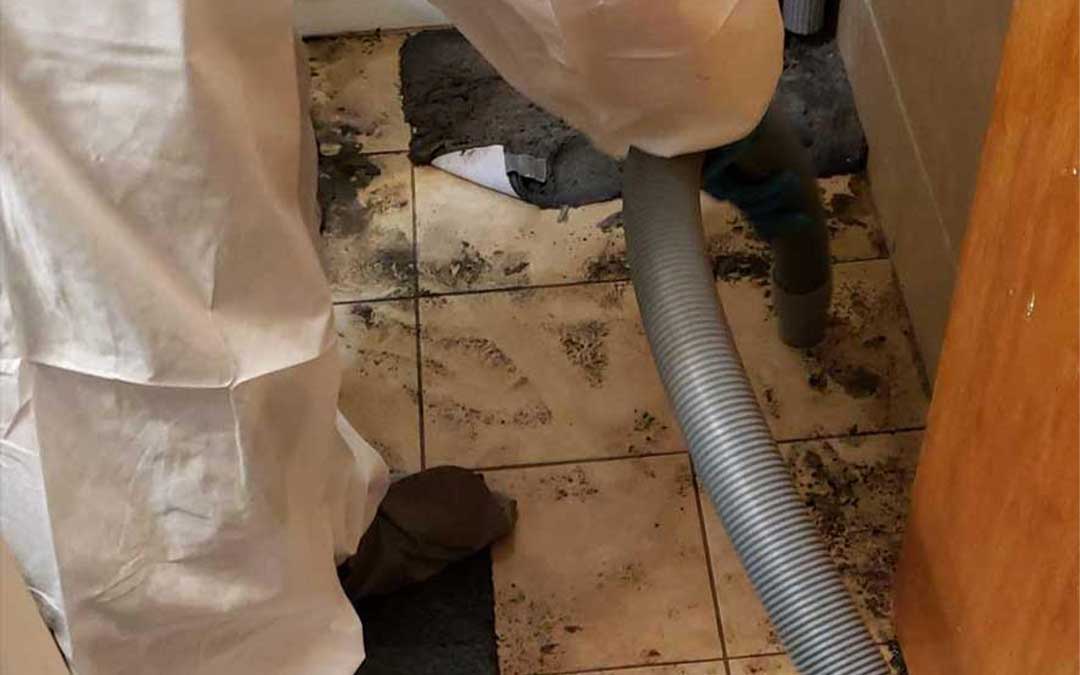 Restoration crew cleaning up sewage backup in home bathroom