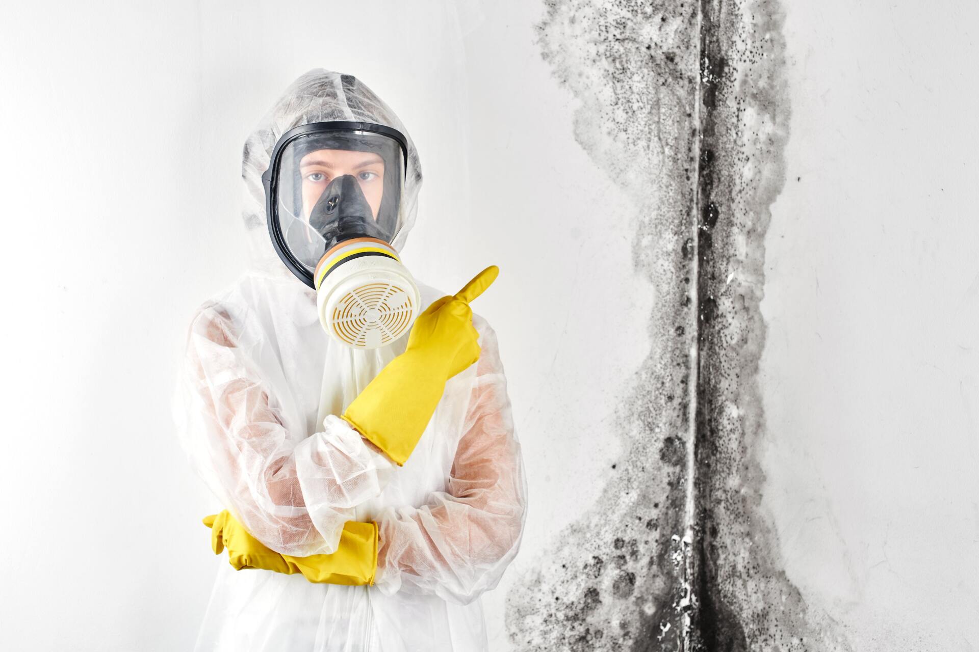 What+is+mold+remediation-1920w